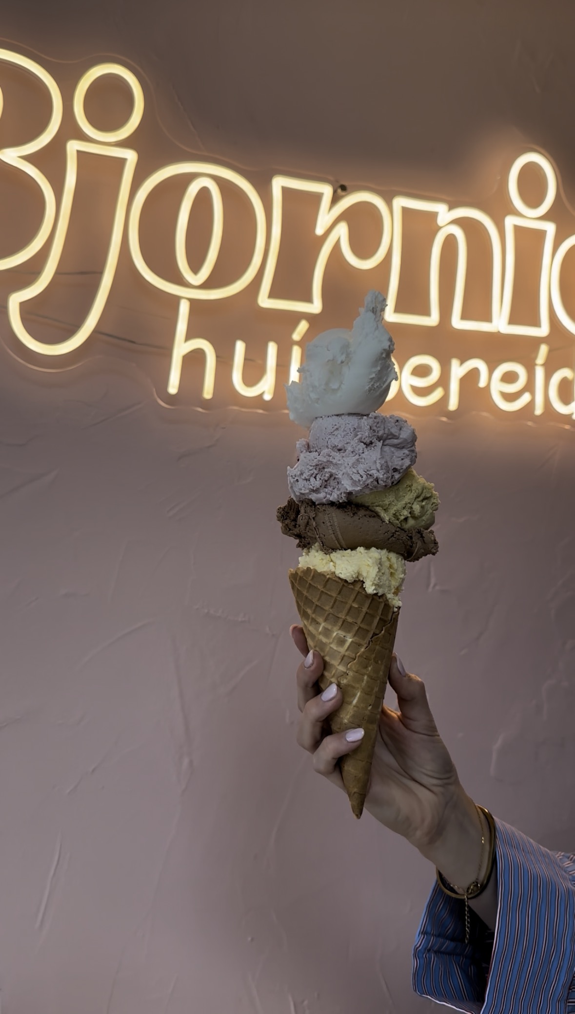 Bjornies Huisbereid IJs